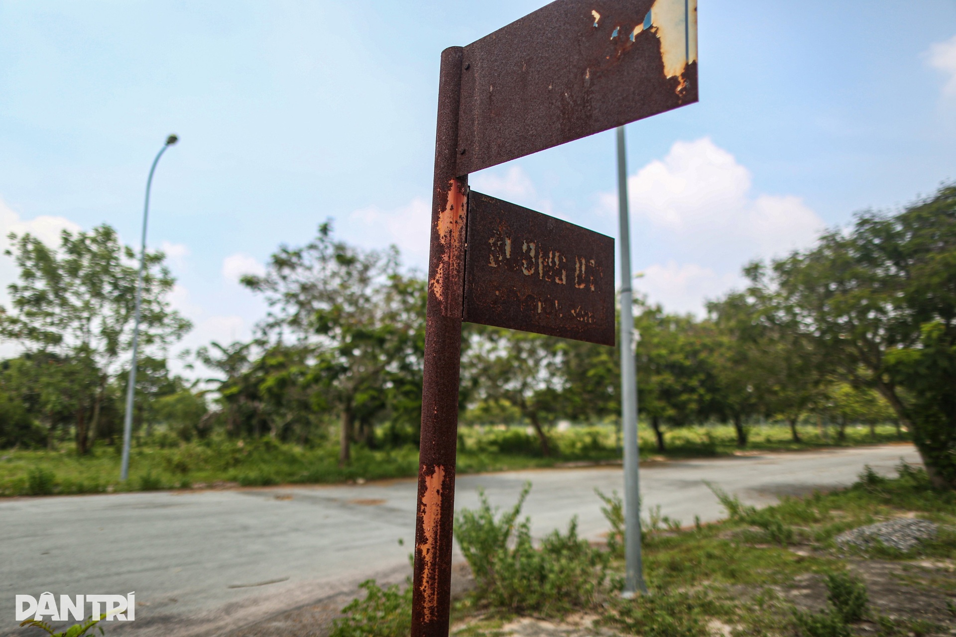 Thành phố ma Nhơn Trạch hoang tàn, thành nơi thả trâu sau 20 năm - 9 Thành phố ma Nhơn Trạch hoang tàn, thành nơi thả trâu sau 20 năm - 9