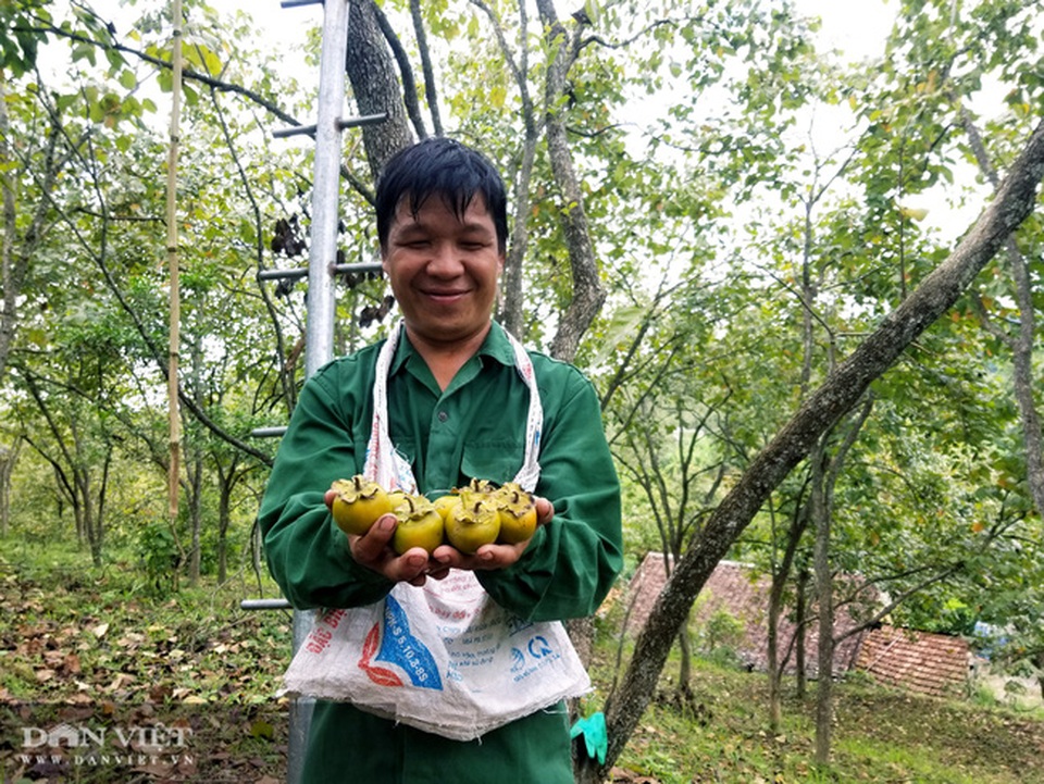 Lạng Sơn: Vùng đất có hồng vành khuyên, loại quả tên nghe như chim vị ngon tuyệt phẩm - 5