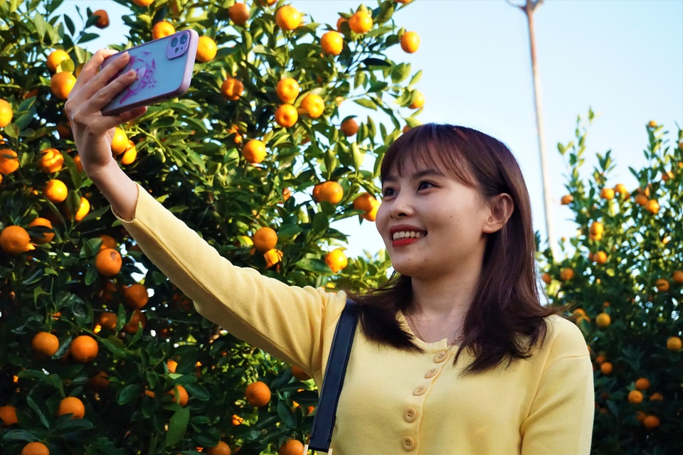 Người dân náo nức check in Tết sớm ở chợ hoa xuân Đà Nẵng - 3 Người dân náo nức check in Tết sớm ở chợ hoa xuân Đà Nẵng - 3