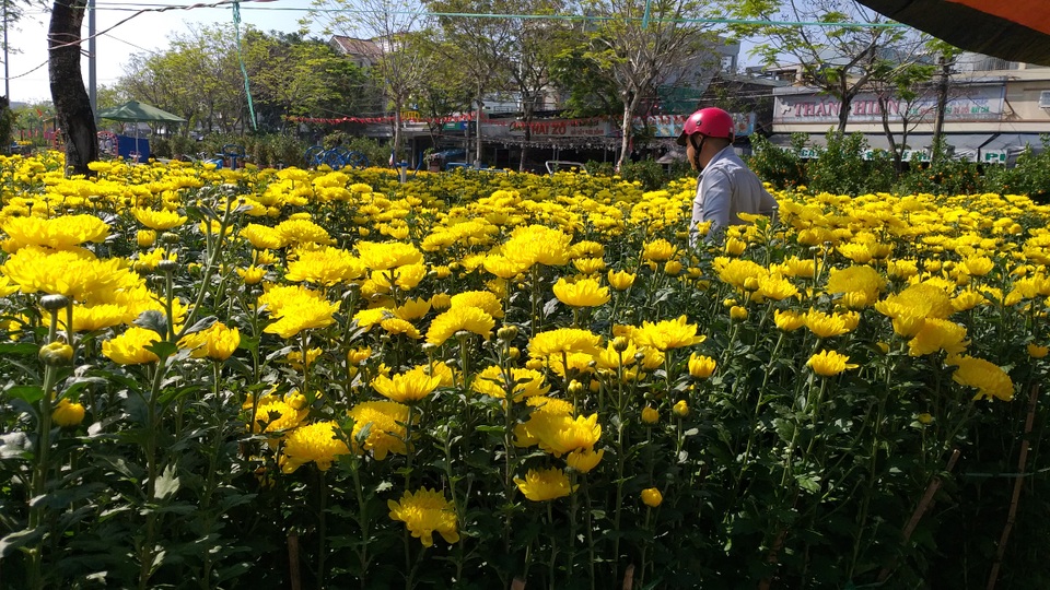 Hoa Tết ế ẩm, tiểu thương than trời - 4 Hoa Tết ế ẩm, tiểu thương than trời - 4