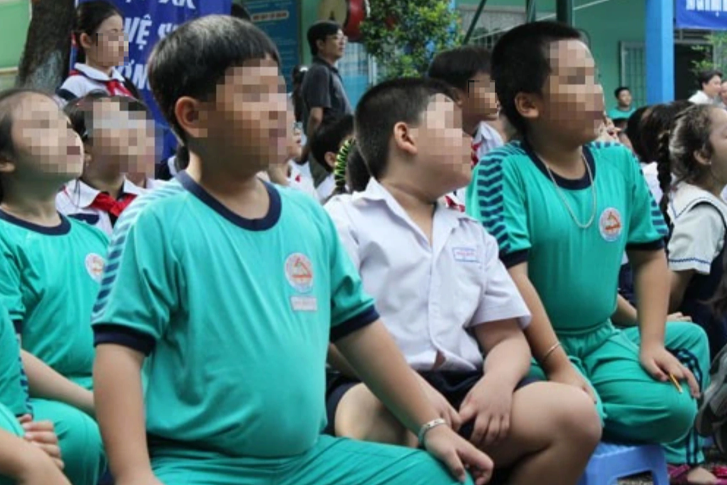 Một nửa học sinh tiểu học ở nội thành Hà Nội thừa cân, béo phì - 1 Một nửa học sinh tiểu học ở nội thành Hà Nội thừa cân, béo phì - 1