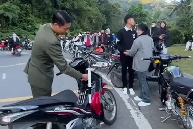 Đôi nam nữ vô tư bẻ hoa dã quỳ ở Ba Vì dù đứng cạnh biển cấm gây phẫn nộ