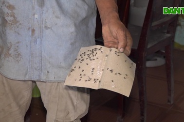 Người dân gồng mình sống chung với ô nhiễm từ nhà máy phân hữu cơ