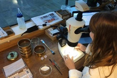 Tìm thấy bằng chứng về “bia Anh đầu tiên” ở Cambridgeshire