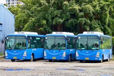 Sinh viên TPHCM bớt “khủng hoảng” đi lại nhờ tuyến xe buýt mới