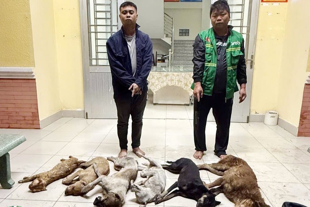 Hai người đàn ông bắt trộm chó, mèo ở Tây Ninh - 1 Hai người đàn ông bắt trộm chó, mèo ở Tây Ninh - 1