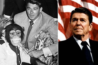 Những chính trị gia xuất thân từ diễn viên