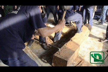 Lại phát hiện 700 kg ngà voi ngụy trang trong gỗ