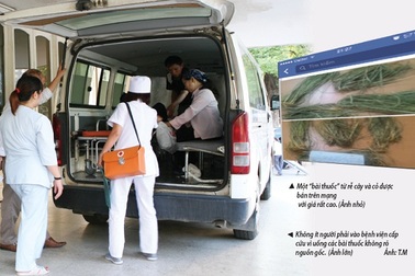 “Thuốc sinh con trai": Các chuyên gia nói gì?