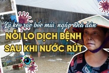 Lũ kéo xác thối, rác thải bủa vây: Người Hà Nội lo dịch bệnh khi nước rút