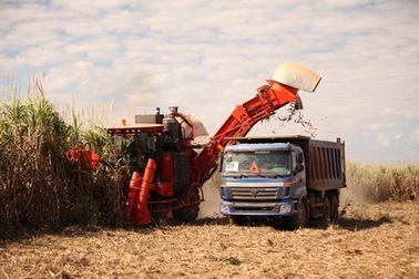 Thừa nhận khó khăn, công ty của bầu Đức xin cơ chế nhập đường từ Lào