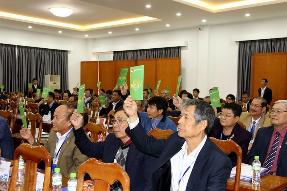 6 ứng viên được giới thiệu tranh ghế Phó Chủ tịch tài chính VFF - 1 6 ứng viên được giới thiệu tranh ghế Phó Chủ tịch tài chính VFF - 1