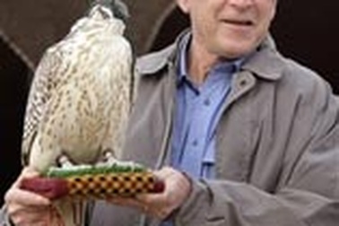 Những khoảnh khắc đáng nhớ của ông Bush tại Trung Đông