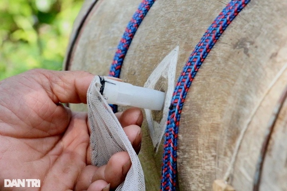 Thợ săn ong sứ nghe tiếng vỗ cánh, chờ tìm chiến binh - 8 Thợ săn ong sứ nghe tiếng vỗ cánh, chờ tìm chiến binh - 8