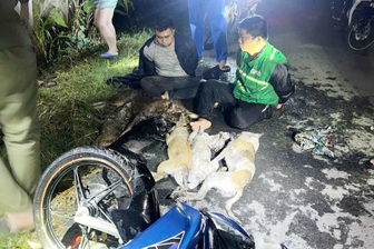 Hai người đàn ông bắt trộm chó, mèo ở Tây Ninh