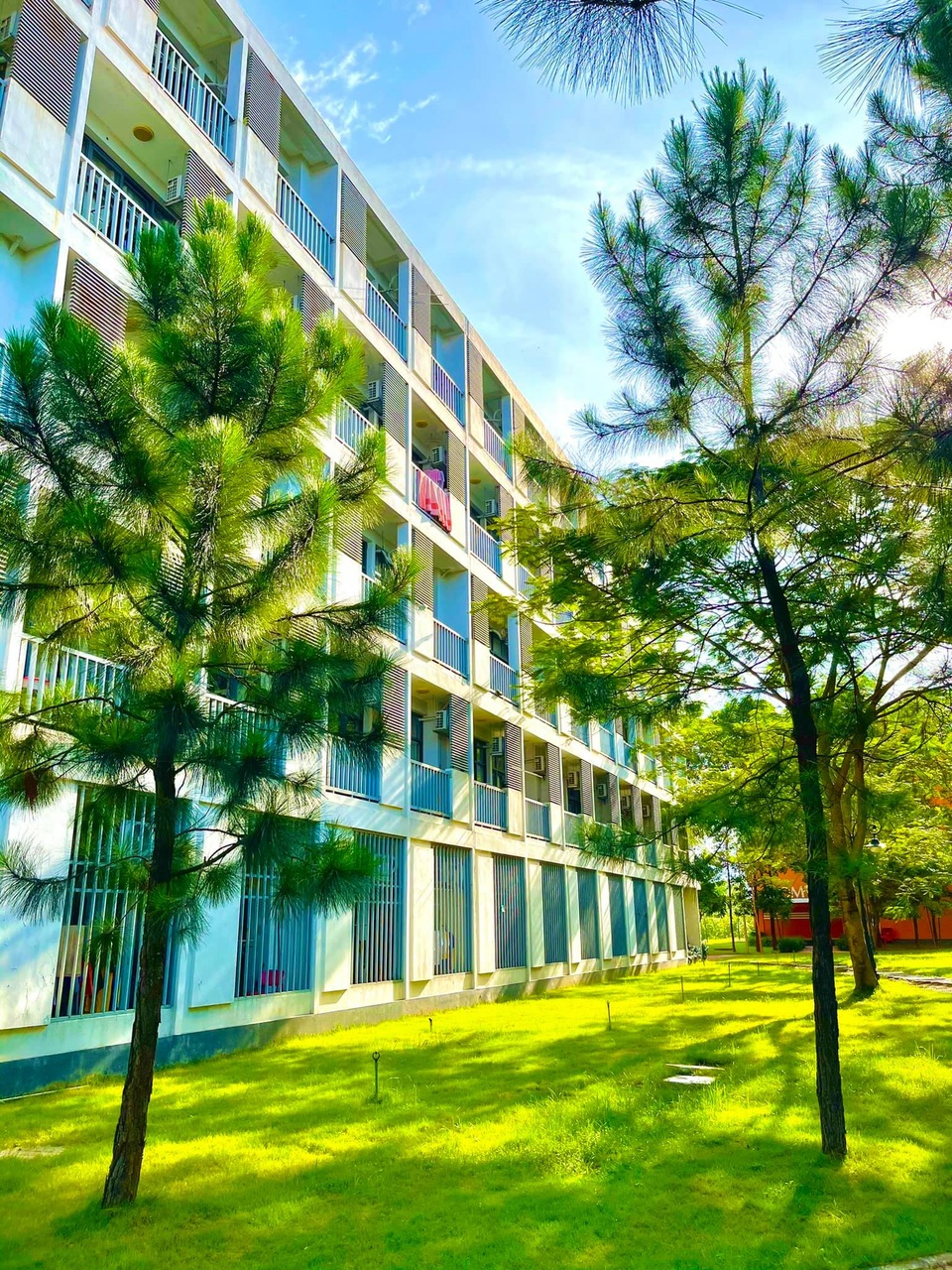 Cảnh sắc bình yên trong khu cách ly lãng mạn tại HN - 3