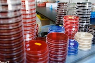 Hy vọng mới cho người mắc bệnh nhiễm trùng mạn tính và tái phát