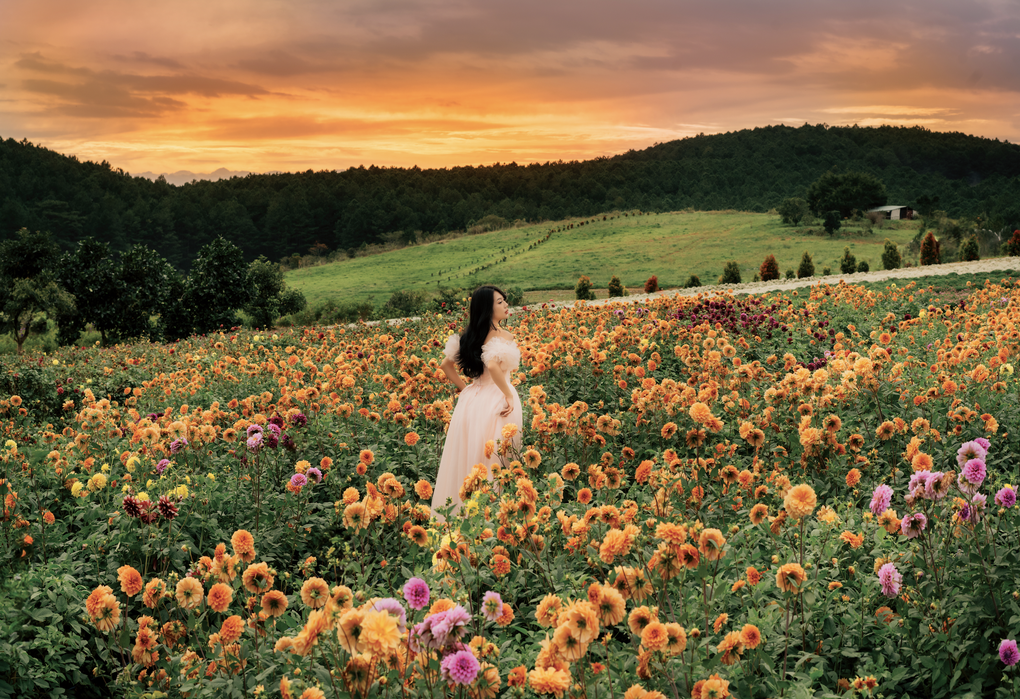 Ngắm vườn hoa được giới trẻ săn lùng tại Đà Lạt - 3