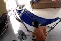 Clip "trăn khủng bất ngờ trườn vào nhà" gây thót tim dân mạng tuần qua