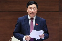 Phó Thủ tướng: Không có chuyện "khai tử" môn lịch sử