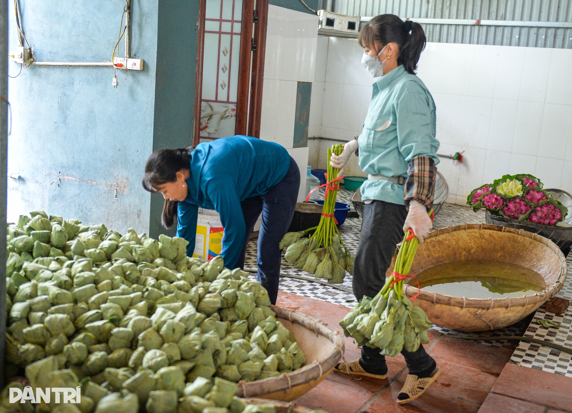 Biến đồng hoang thành đầm sen triệu bông, anh nông dân kiếm tiền tỷ - 11 Biến đồng hoang thành đầm sen triệu bông, anh nông dân kiếm tiền tỷ - 11