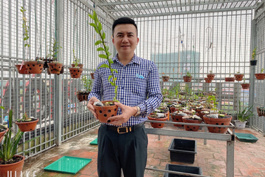 Nghệ nhân hoa lan Phạm Hữu Hùng hướng dẫn các biện pháp xử lý khi hoa lan bị nấm hạt cải