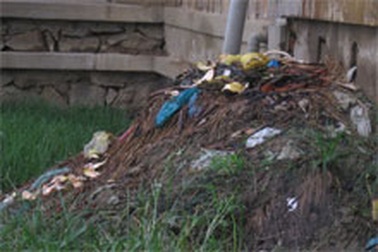 Bảy cơ sở gây ô nhiễm “lơ” quyết định của Thủ tướng