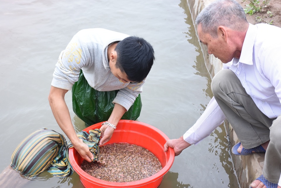 Về thủ phủ nuôi đặc sản con nhung nhúc, béo tròn, muốn ăn đến mùa mới có - 11