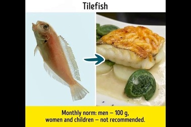 9 loại cá quen thuộc nhưng không nên ăn quá nhiều