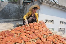 Gia Lai: Bà con ở vùng “chảo lửa” “đội nắng” làm ra món bò đặc sản