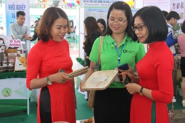 Cô gái Quảng Nam bỏ thành phố về quê khởi nghiệp với mo cau