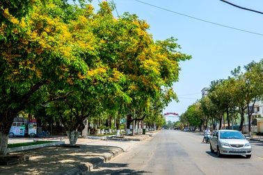 Bộ Công an yêu cầu Quảng Nam cung cấp tài liệu dự án trồng cây xanh