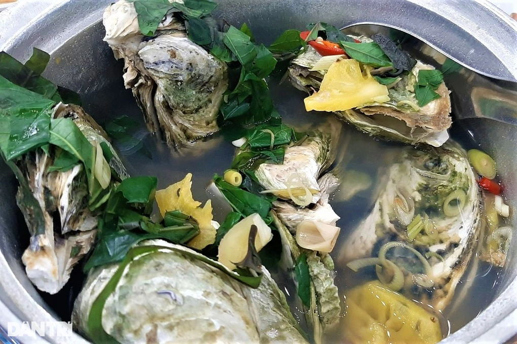 Nuôi hải sản thần dược trên... dây, thu hàng chục triệu đồng mỗi vụ - 10 Nuôi hải sản thần dược trên... dây, thu hàng chục triệu đồng mỗi vụ - 10