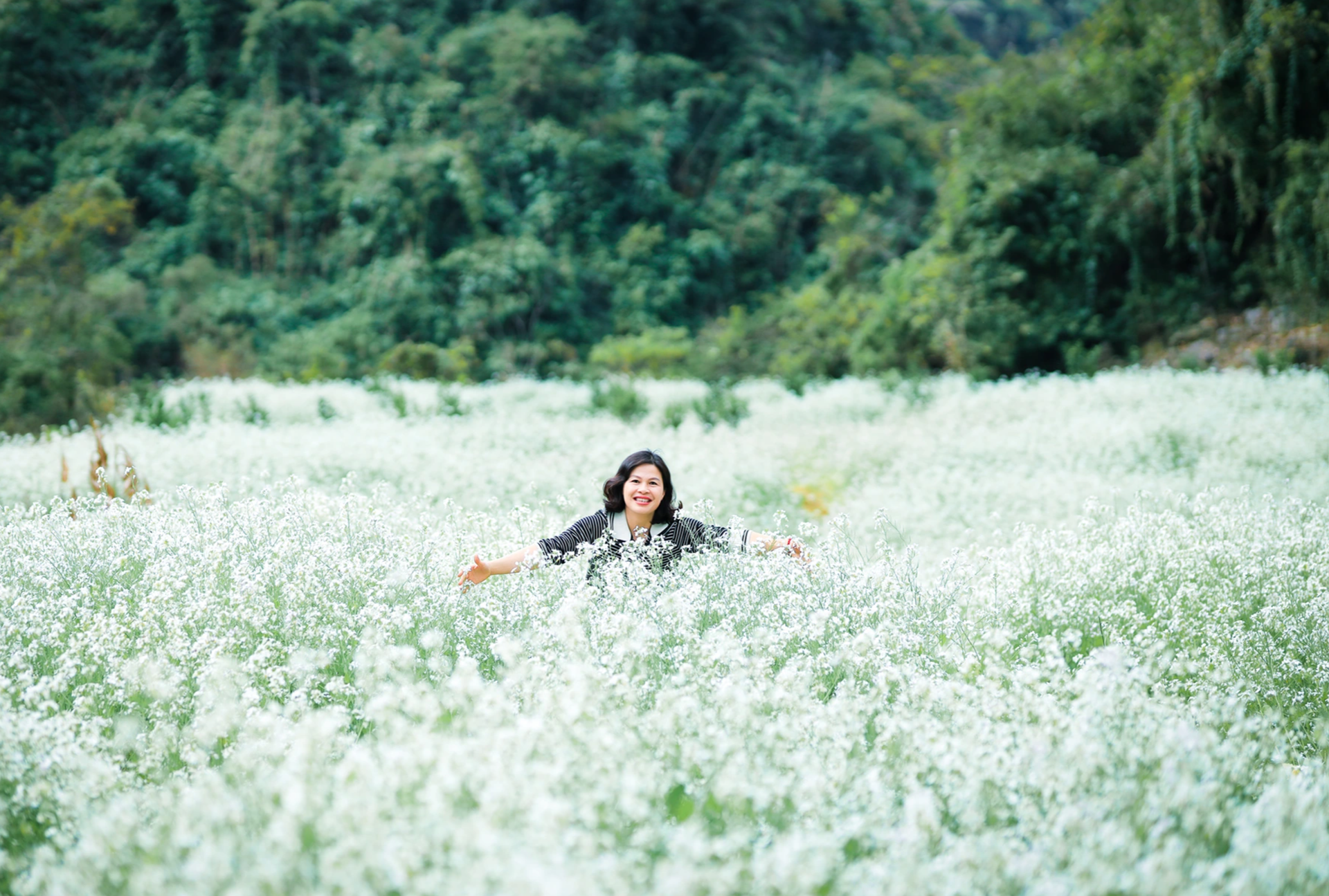 White mustard flowers are vast in Moc Chau, tourists from everywhere flock to take photos - 6