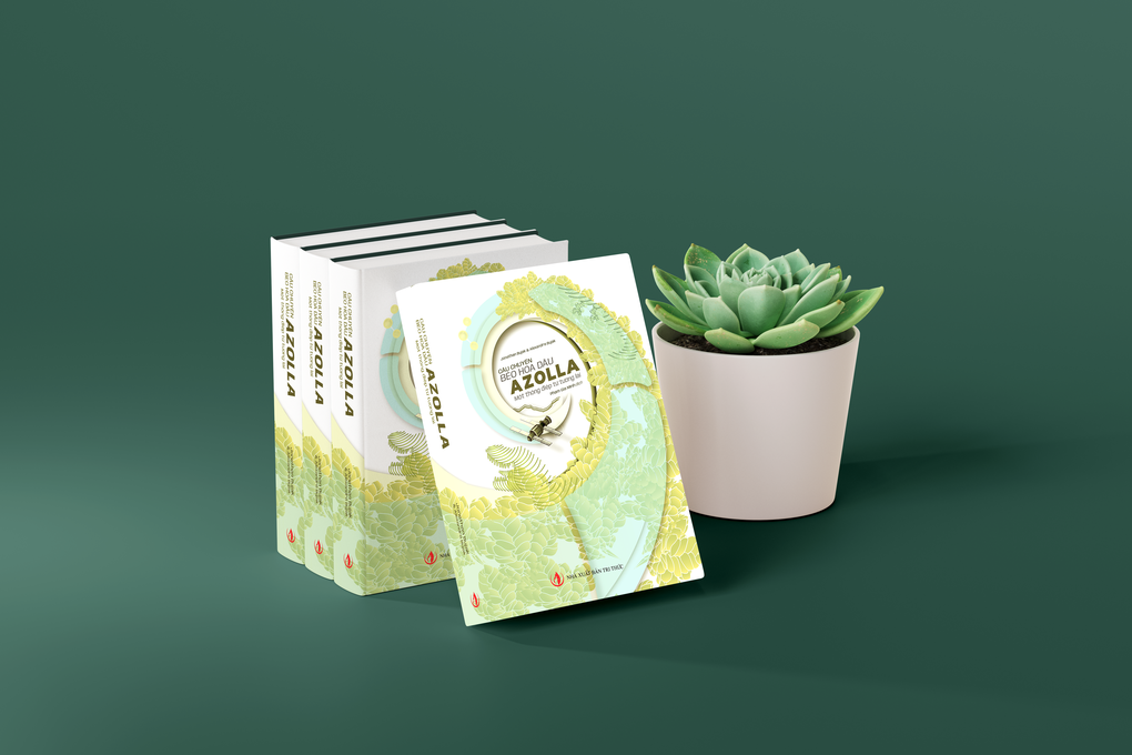 Câu chuyện bèo hoa dâu - 1 Câu chuyện bèo hoa dâu - 1