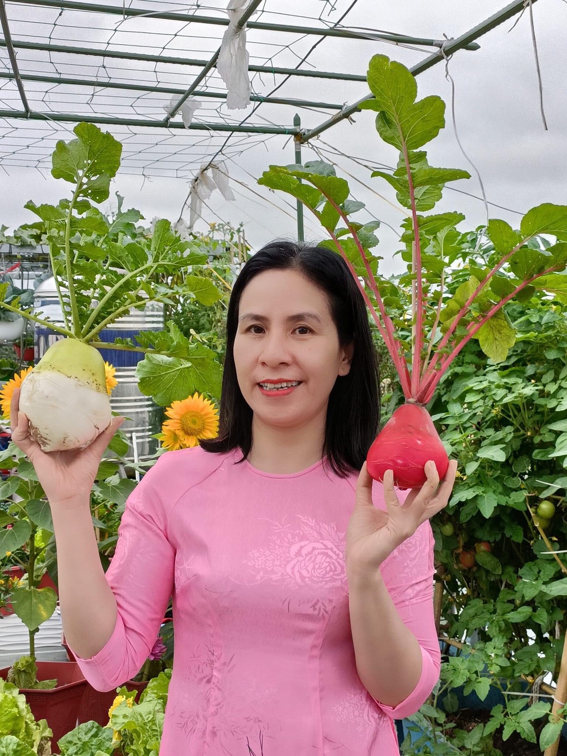 Mẹ đảm ở Hải Phòng kỳ công về quê chở đất, kéo từng bao lên phố trồng rau - 5 Mẹ đảm ở Hải Phòng kỳ công về quê chở đất, kéo từng bao lên phố trồng rau - 5