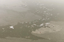 Nguyên nhân bất ngờ về tình trạng cá chết hàng loạt trên sông Sa Lung