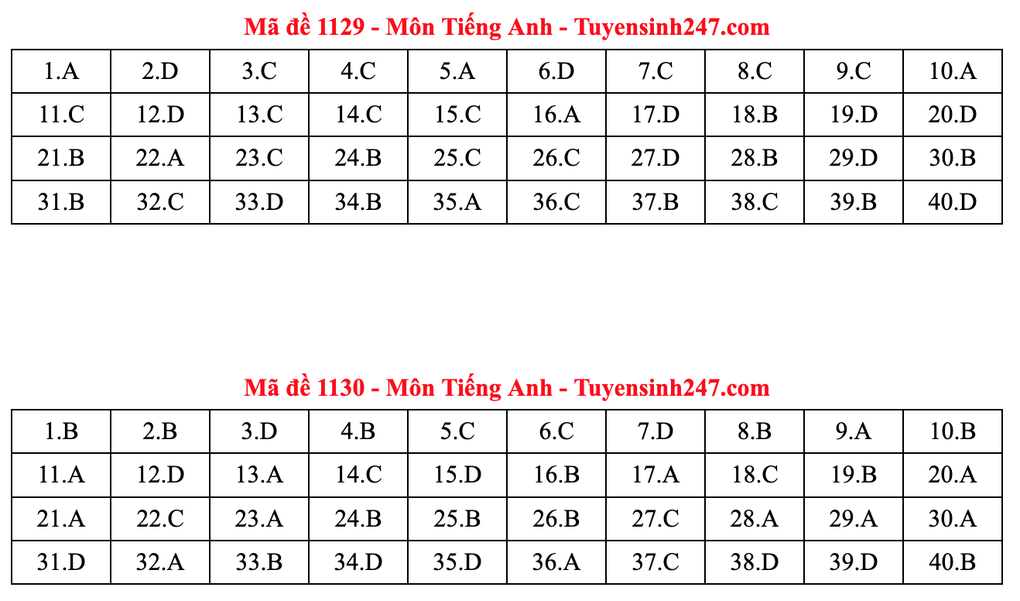 Gợi ý đáp án tiếng Anh thi tốt nghiệp 2025: Mã đề từ 1117 đến 1132 - 2 Gợi ý đáp án tiếng Anh thi tốt nghiệp 2025: Mã đề từ 1117 đến 1132 - 2