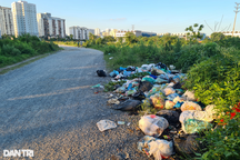 Licogi, Viwaseen tính chưa đúng giá trị doanh nghiệp tại dự án "đắp chiếu"