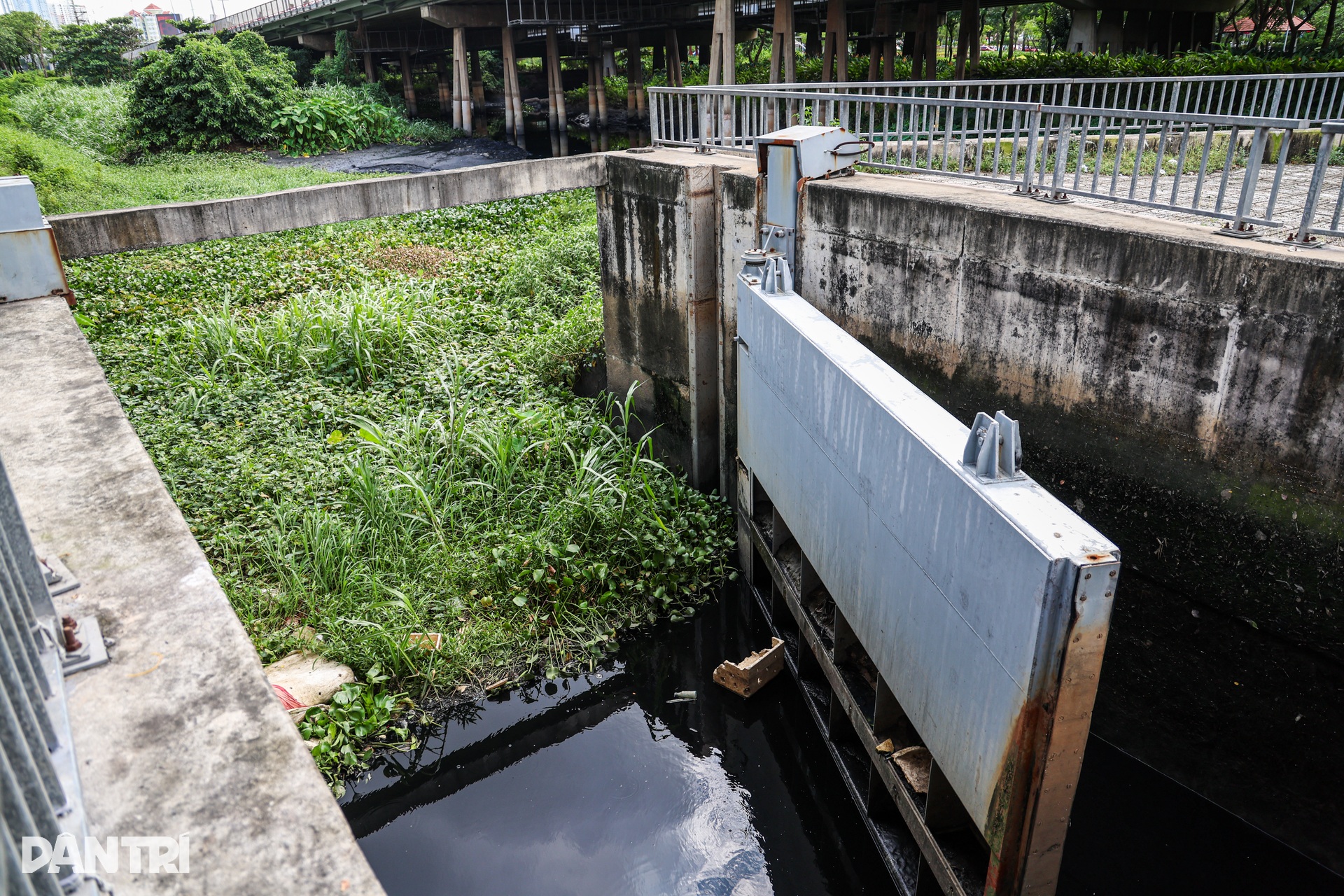 Rạch dài gần 2km sắp được khơi thông bên tuyến đường vào trung tâm TPHCM - 11