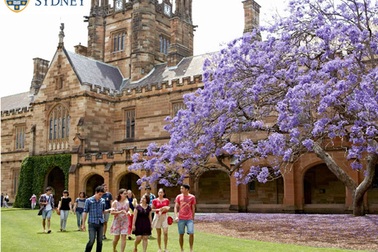 Gặp đại diện Đại học Sydney- TOP các trường đại học trên thế giới
