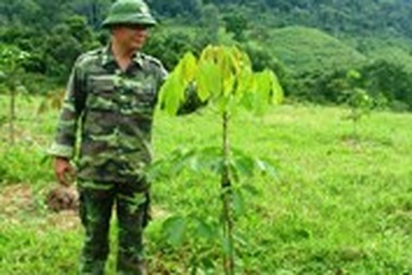 Từ “chuyện tình” với lúa nước đến giấc mơ về cây “vàng trắng”