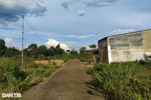 Phân lô, bán nền trái phép ở Gia Lai: Chờ tỉnh chỉ đạo khắc phục