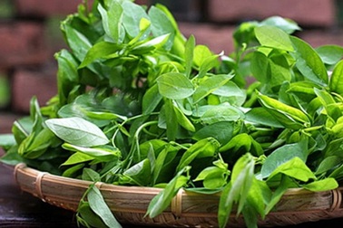 Cẩn thận với 9 loại rau quả mùa hè "tắm" nhiều hóa chất nhất chợ