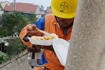 Xúc động bữa cơm trưa trên cao của người thợ điện