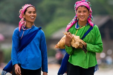 “Bế” gà đi chợ