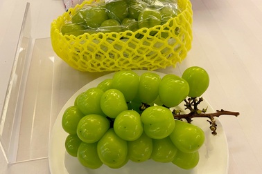 Doanh nghiệp Hàn Quốc muốn bán nhiều nho, táo, ớt… ở Việt Nam