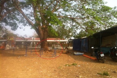 Giết người để trả thù cho bạn gái