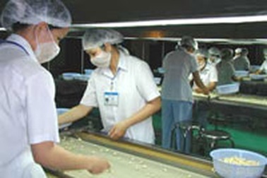 Giá nhân điều giảm mạnh, doanh nghiệp lao đao