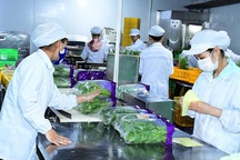 Vì sao Bình Dương bị Thủ tướng "lệnh" tạm dừng thanh tra Vinamit?